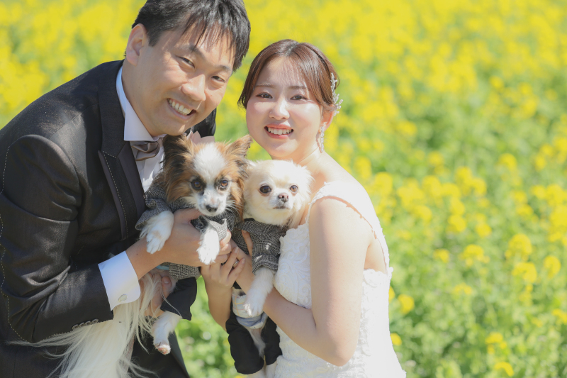 【淡路島or神戸】【ペット可】【スタジオorロケ】全データ120カット、衣装400着!洋装97,800円〜和装129,800円〜