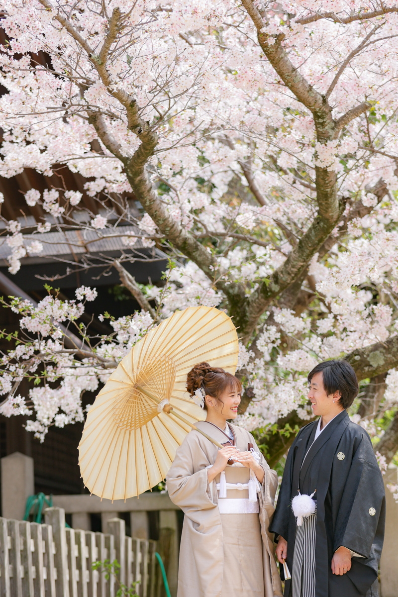 【河津桜＆ミモザ】 2月中旬〜3月中旬　洋装　全データ170カット、店頭衣装無料!!移動料金込み