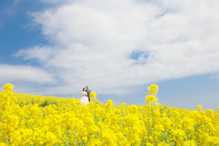 【あわじ花さじき】　早春菜の花　プラン【1月中旬〜5月上旬ポピー】あわじ花さじき洋装 全データ150カット店頭衣装無料!!