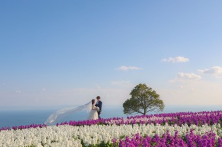 【淡路島冬季限定】【ストック】あわじ花さじき　洋装ロケ撮影 全データ150カット店頭衣装無料!!