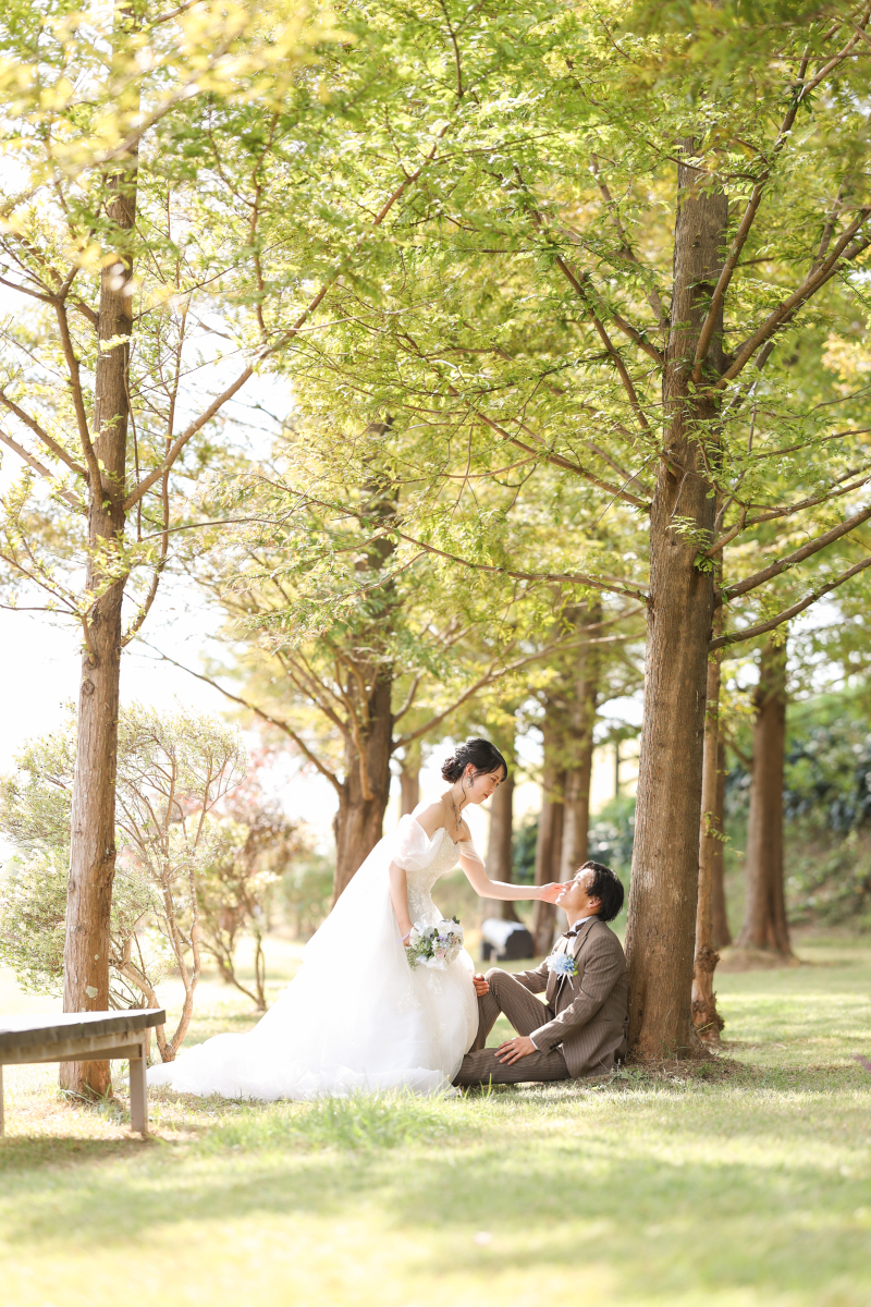 【あわじ花さじき】【ひまわり/ 秋桜】洋装150カット【神戸店OPEN価格】通常￥140,800 &rarr; ￥139,000！