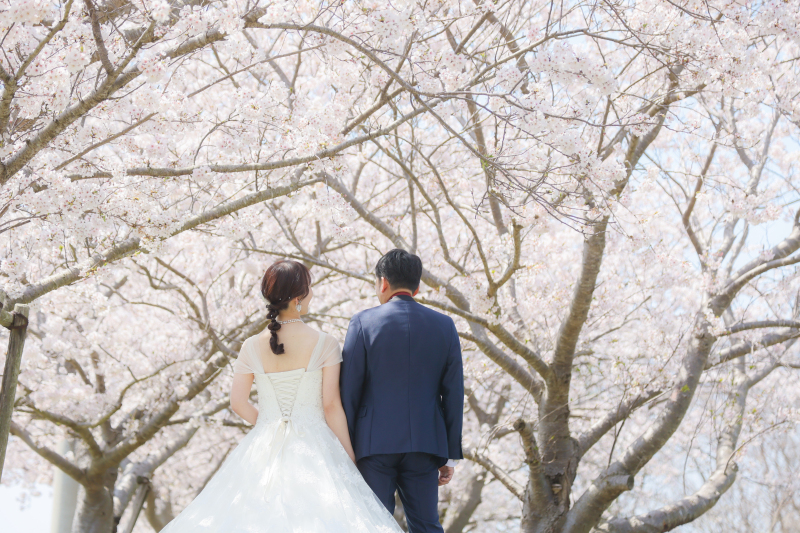 【河津桜＆ミモザ】 2月中旬〜3月中旬　洋装　全データ170カット、店頭衣装無料!!移動料金込み