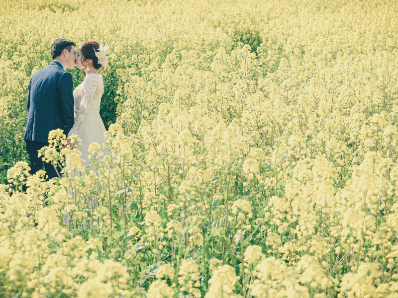 【あわじ島花畑撮影】通年26春まで通年プラン【ストック、菜の花、ポピー】 洋装ロケ撮影 全データ170カット、店頭衣装無料!!