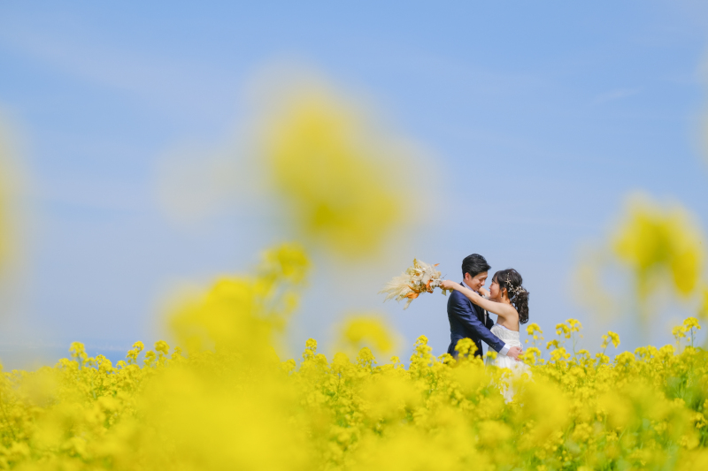 【あわじ島花畑撮影】通年26春まで通年プラン【ストック、菜の花、ポピー】 洋装ロケ撮影 全データ170カット、店頭衣装無料!!