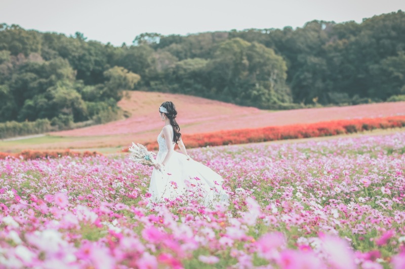 【あわじ島花畑撮影】通年26春まで通年プラン【ストック、菜の花、ポピー】 洋装ロケ撮影 全データ170カット、店頭衣装無料!!