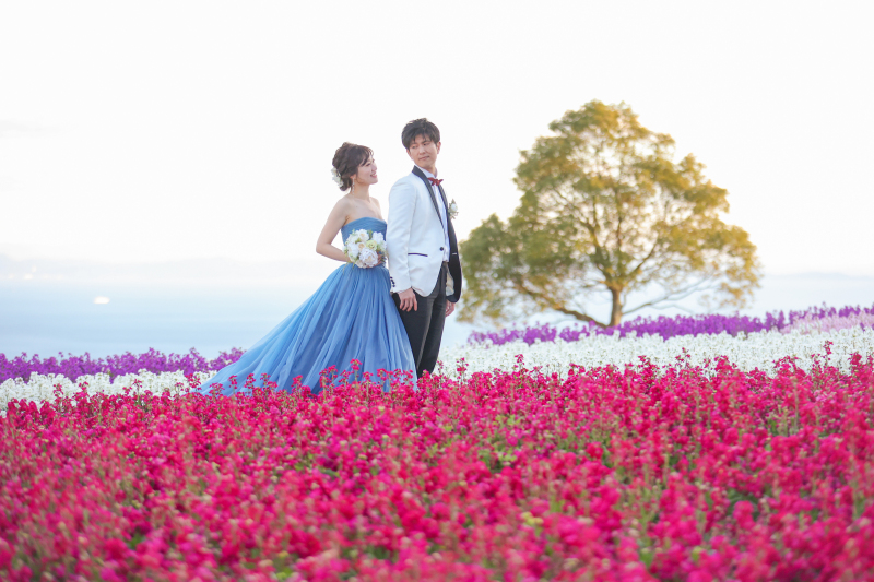 【あわじ島花畑撮影】通年26春まで通年プラン【ストック、菜の花、ポピー】 洋装ロケ撮影 全データ170カット、店頭衣装無料!!