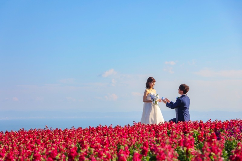 【淡路島冬季限定】【ストック】あわじ花さじき 洋装ロケ撮影 全データ150カット店頭衣装無料!!