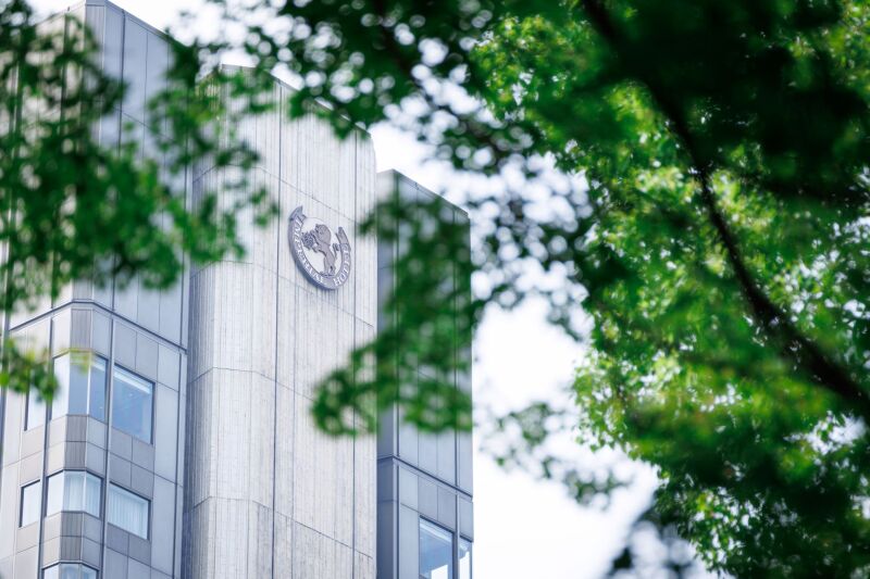 全天候型の撮影スタイル