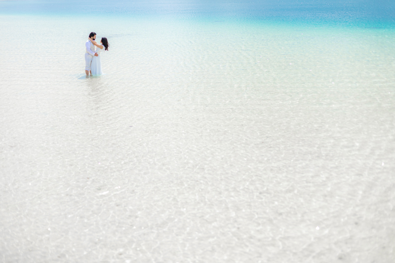 風景写真のような