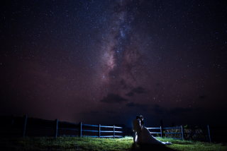 星空撮影(ドレス＆タキシード)