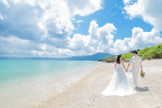 データ100カット追加