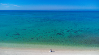 ドローンは静止画だけでなく、ショートムービーも可能です！