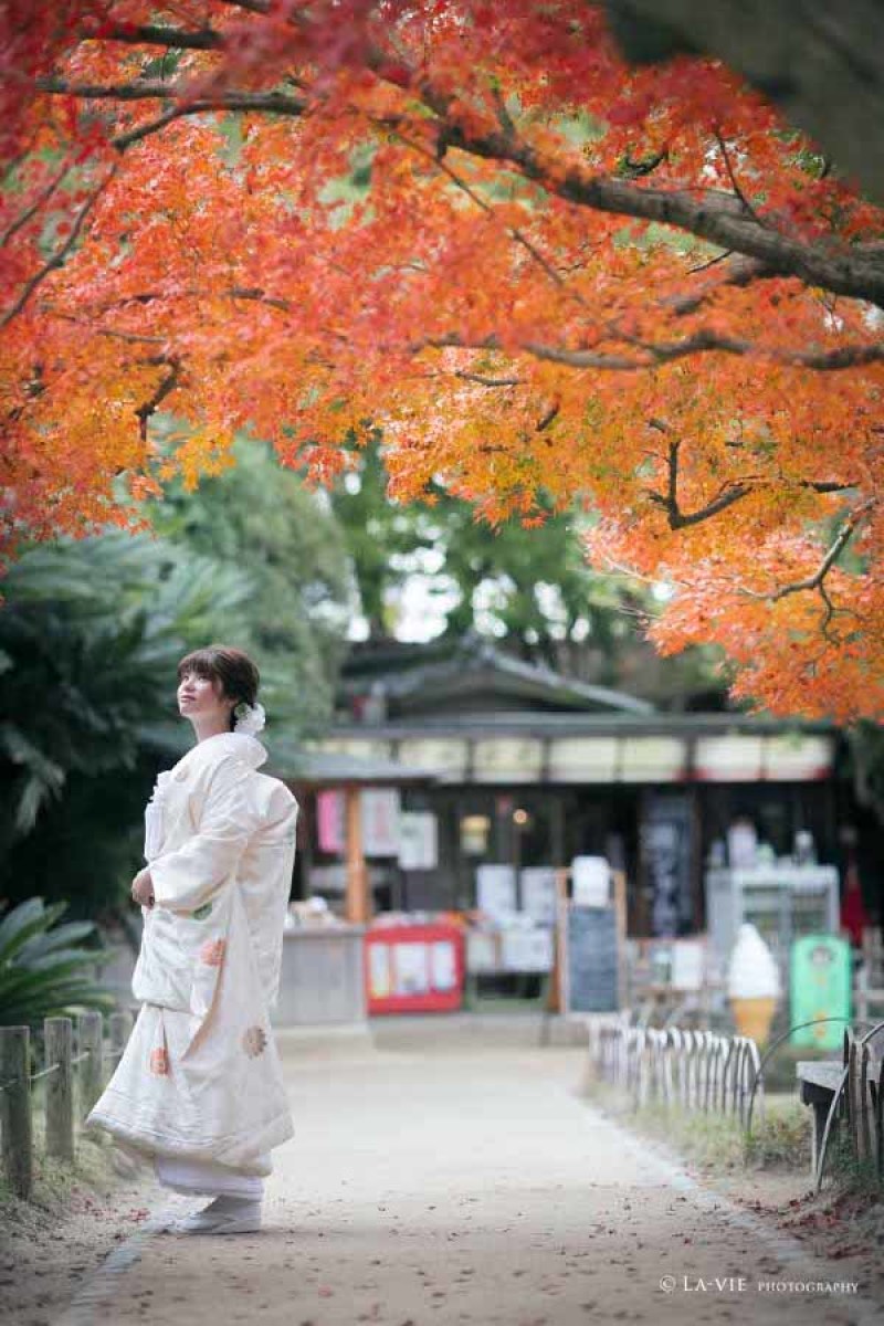 ドラマティック