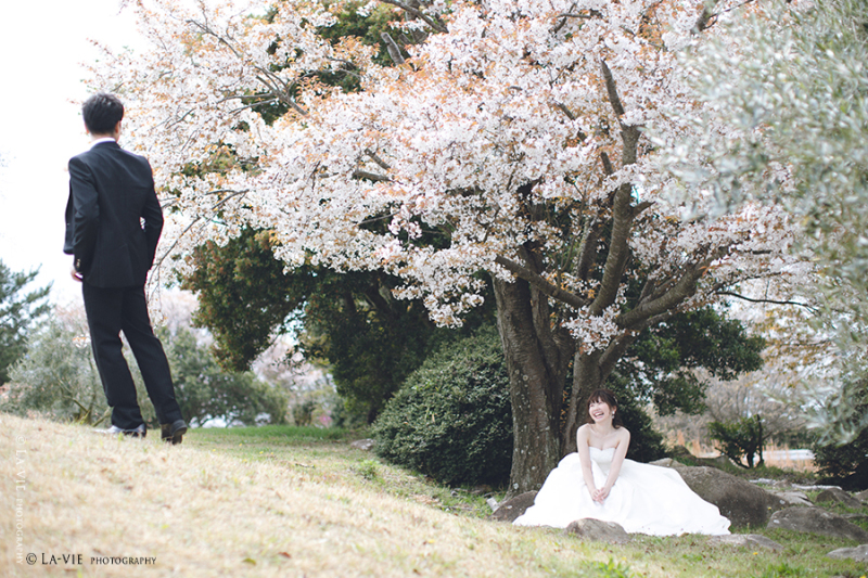 牛窓オリーブ園