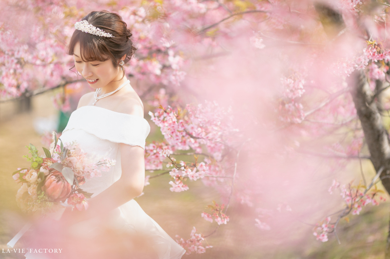 桜に囲まれて