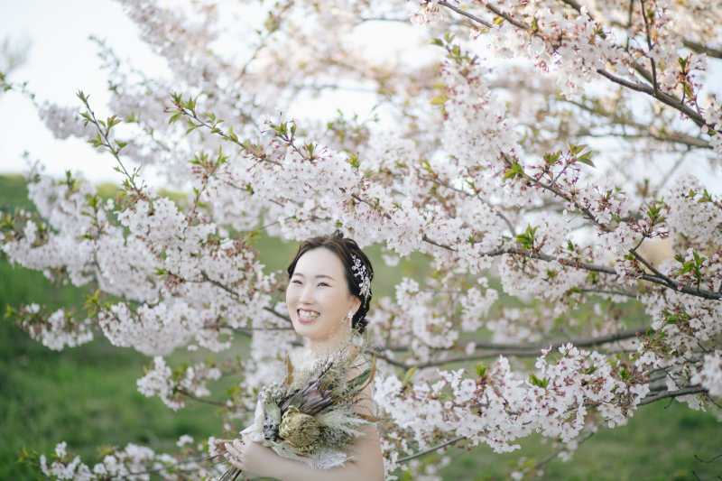 桜の時