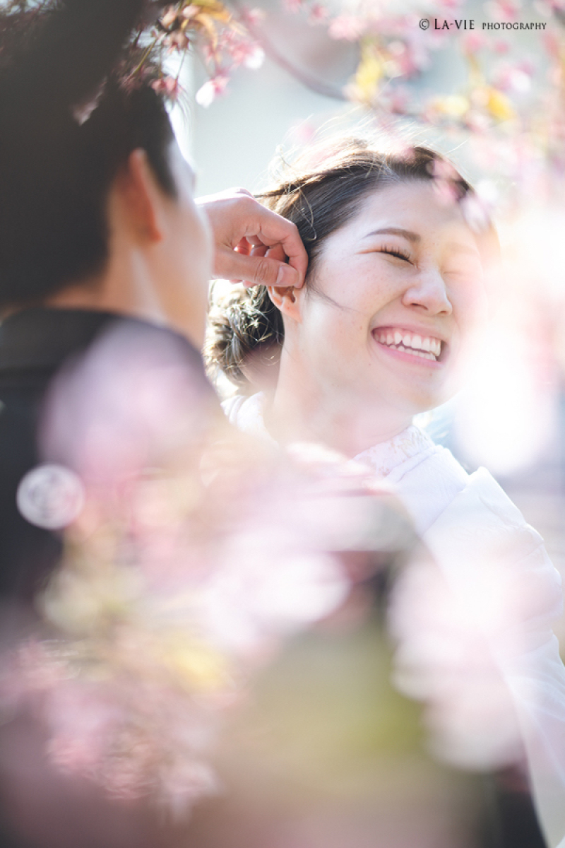 白無垢 × 桜