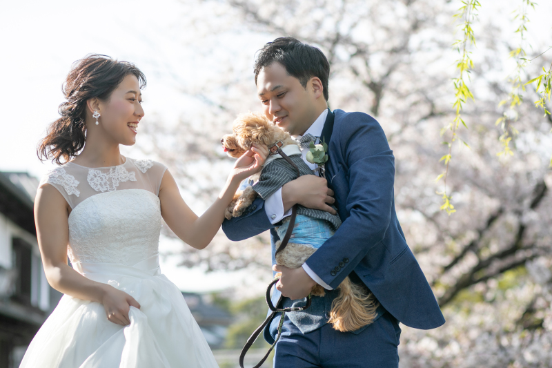 愛犬とも一緒に。