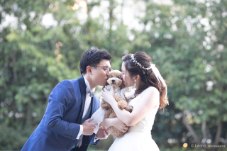 大切な家族の一員