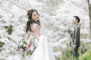 桜シーズン到来します!! 