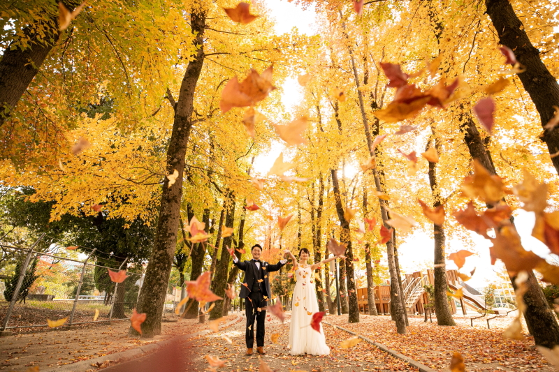 紅葉が降り注いでます