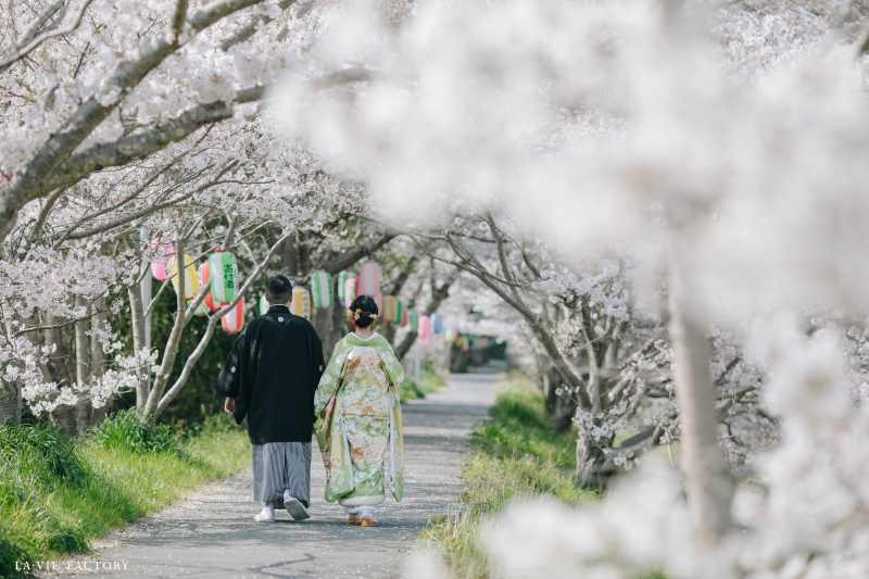 桜の道