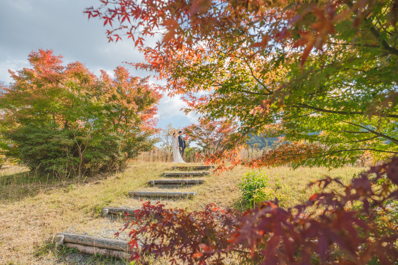紅葉のグラデーション