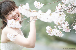 桜のお次は新緑！