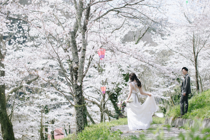 春はやっぱり"桜"