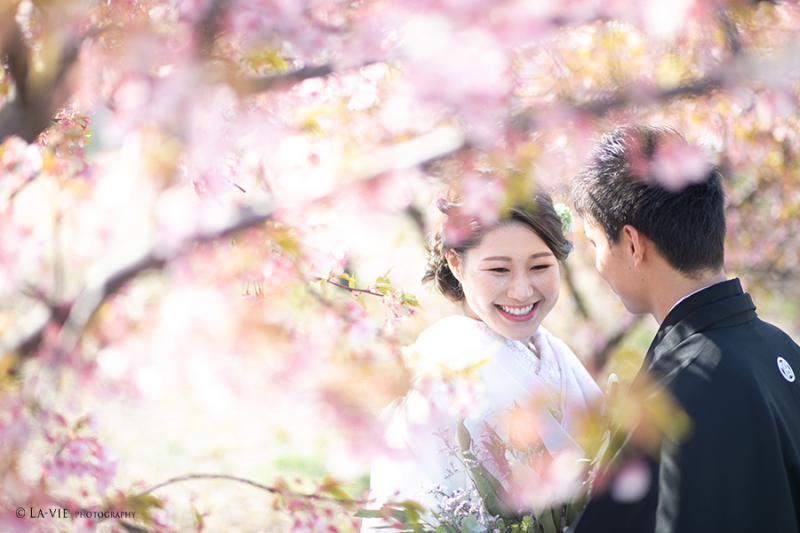 河津桜も