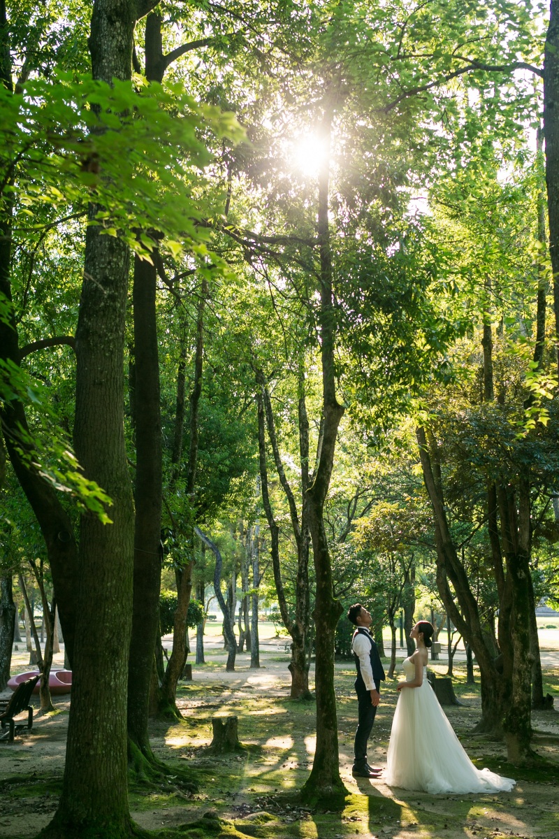 緑に包まれながら。
