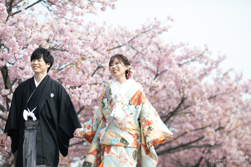河津桜の並木道を