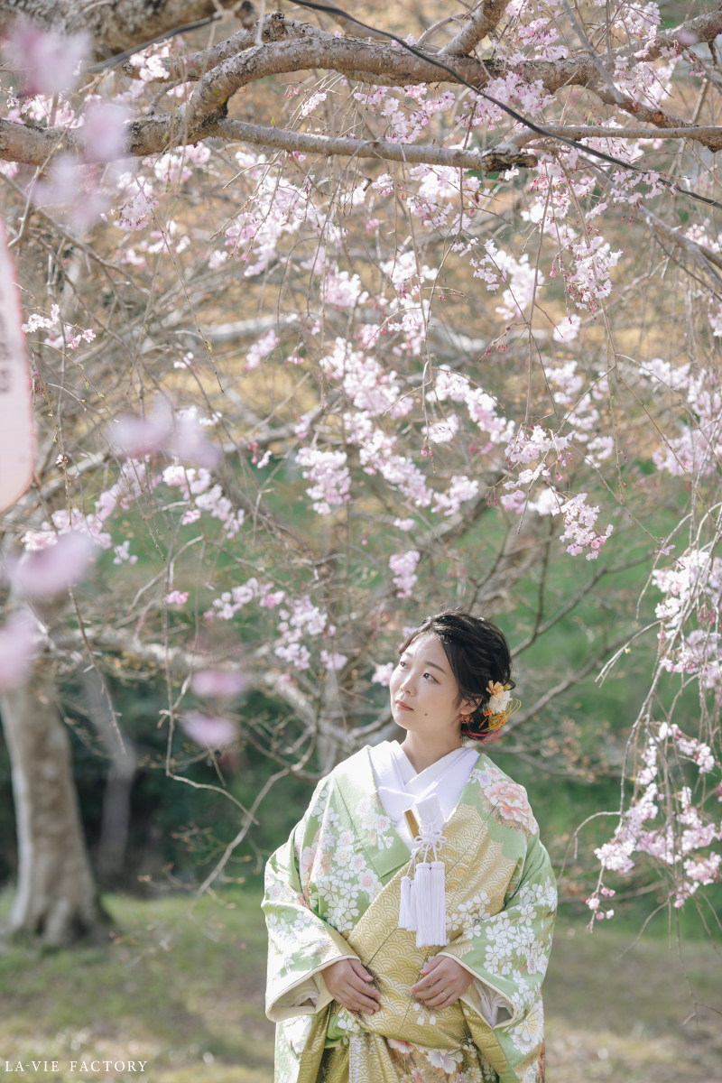 桜と和装