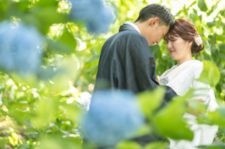 あじさい満開の「吉備津神社ロケ」
