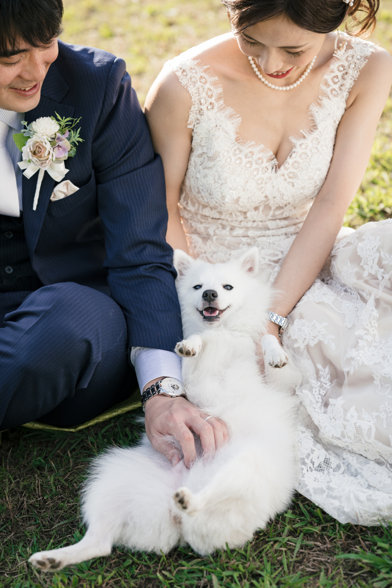 ラヴィファクトリー岡山店_ペットと一緒に撮影できる