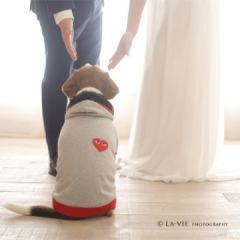 ペットとの撮影