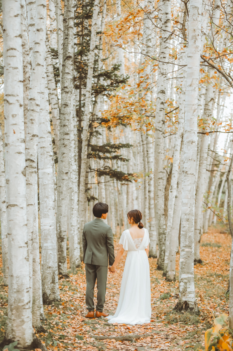 美瑛　拓真館　ロケーション撮影