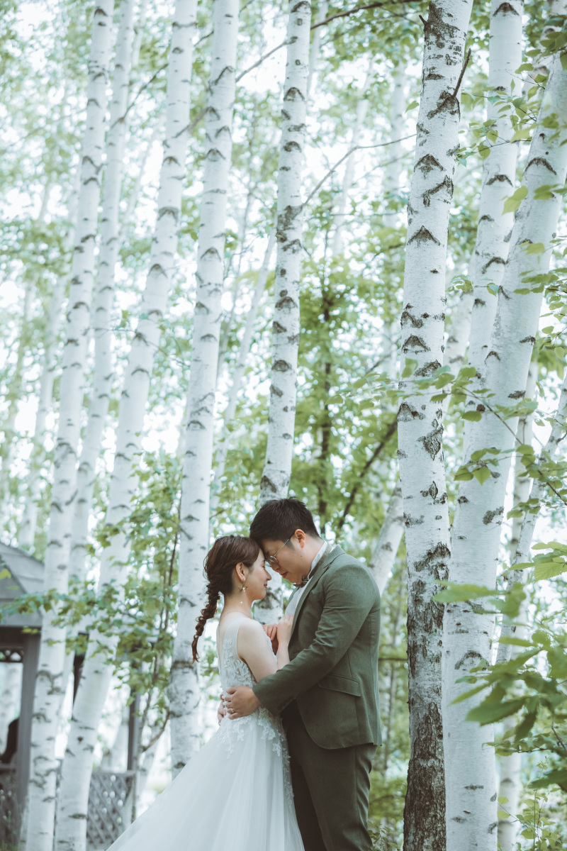 白樺並木で幻想的なショットも