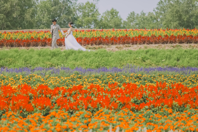 お花畑の中散歩