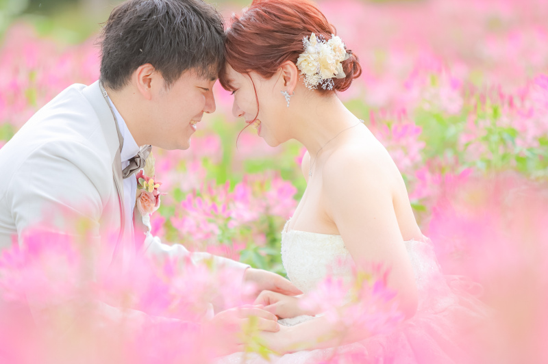 お花に埋もれて