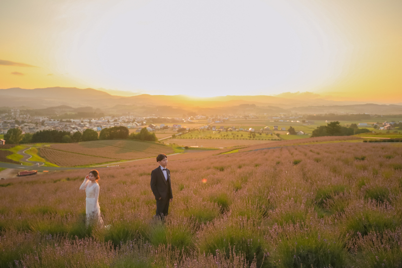 広大なラベンダー畑の中での夕日ロケーション