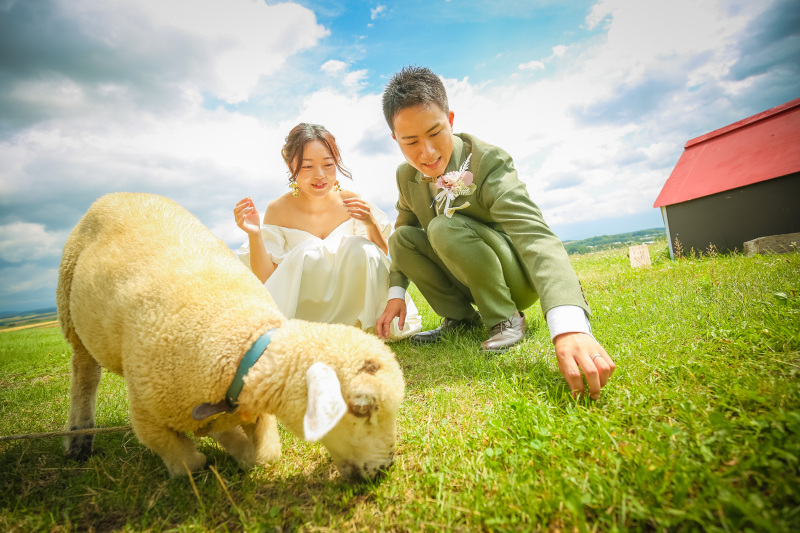 動物へ餌やり体験も出来ます！