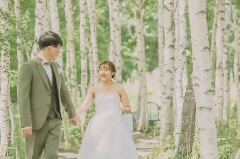 白樺並木の中で散歩