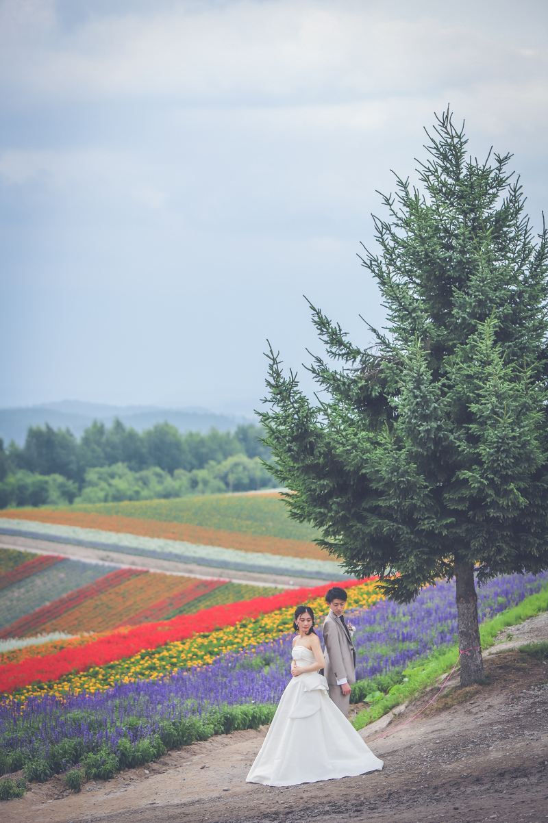 シンボルツリー