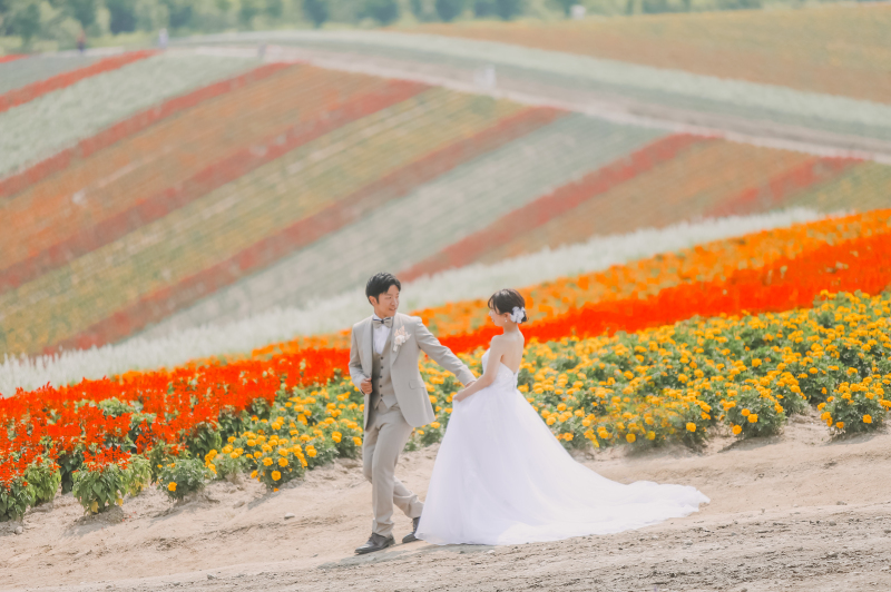 色鮮やかな四季彩の丘で撮影はいかがでしょうか？