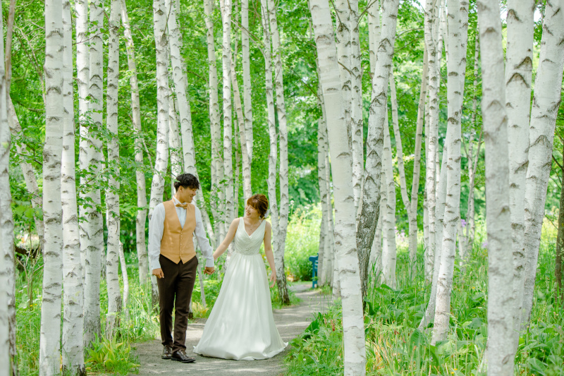 白樺小道での散歩