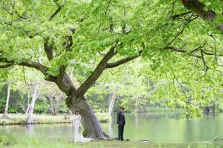 鳥沼公園ロケーション『evergreen love』