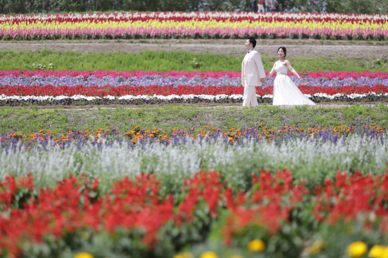 おさんぽショット