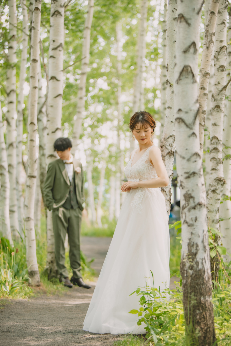 白樺の小道でドラマチックに