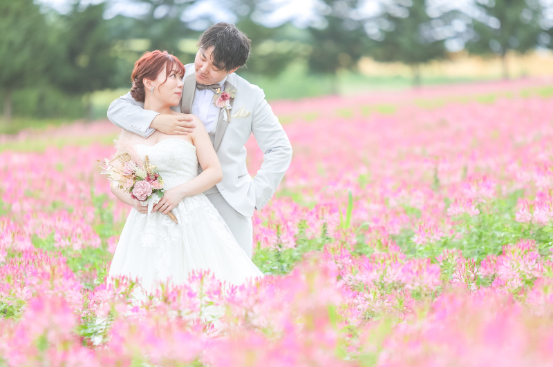 クレオメに囲まれて